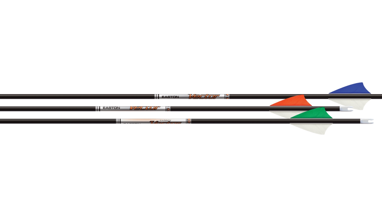 ポイント、シャフト、羽根、ノックが見えるEaston Vectorターゲットアーチェリー用の矢